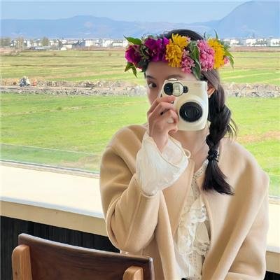 宝石宠物电影 甜品舞公主