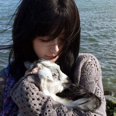 艳谍飞龙